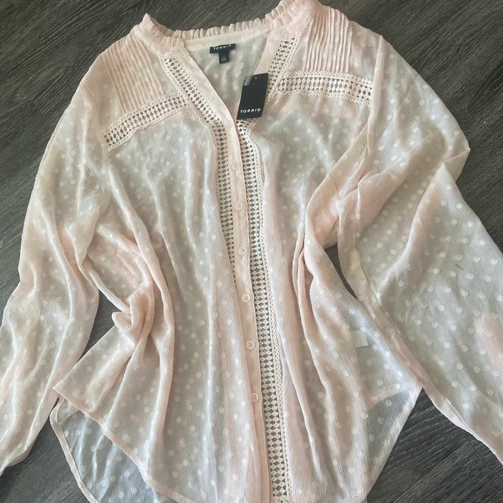 Torrid Light Pink Sheer Blouse
